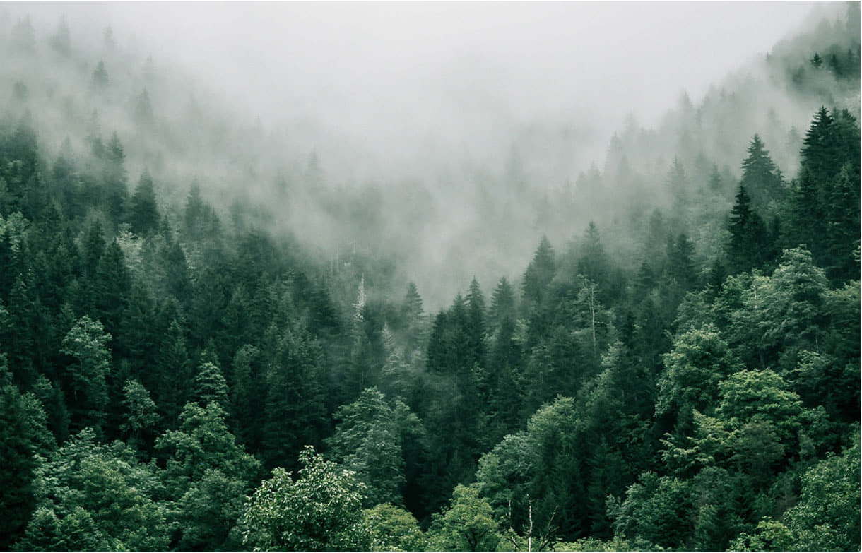 웹스소개